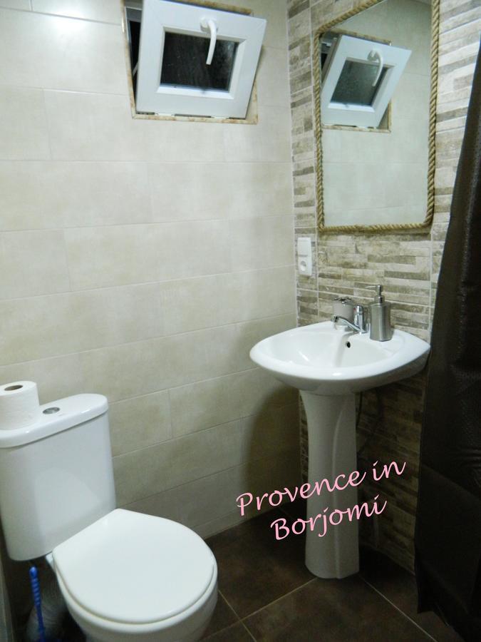 Nikas Guest House Borjomi ภายนอก รูปภาพ