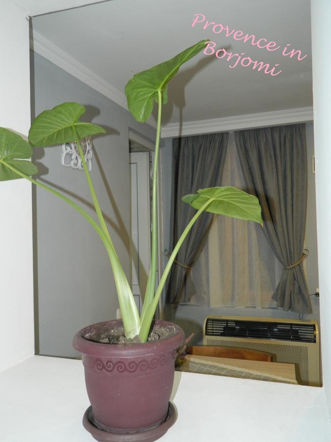 Nikas Guest House Borjomi ภายนอก รูปภาพ